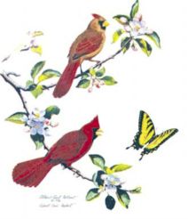CardinalsOnAppleBlossom